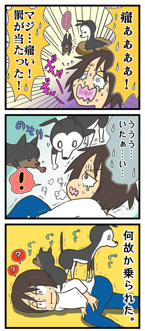 01C594D1-1C0D-454E-81D8-B6C98E982CB3