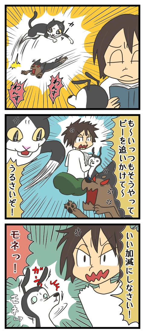 E39569BD-EB07-4315-8DFA-FC09FC6C7C80