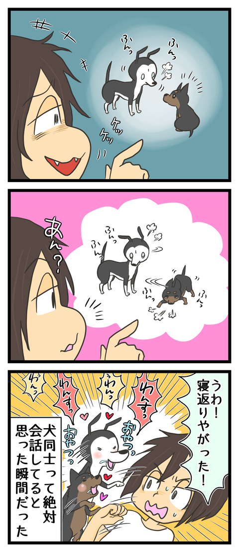 8A18B150-F0A6-4F23-B76A-74019ABE1BE3