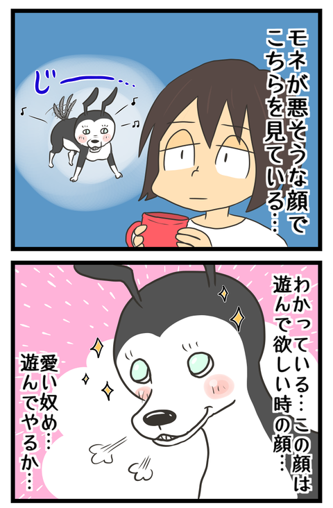 857447D6-255D-40E3-95FC-A47471F420F5