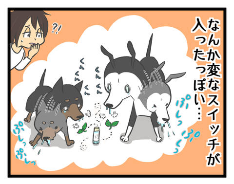 4CC11F52-FE67-4E1E-B75A-AAF710B4E90F