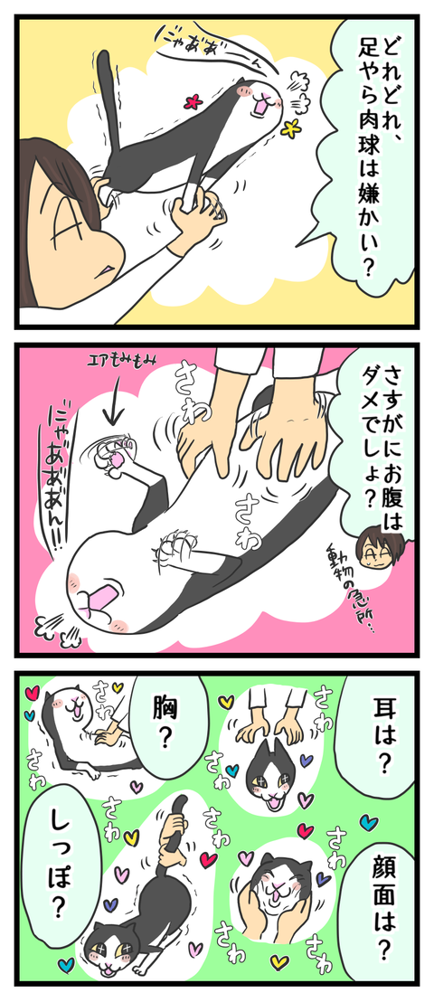 95C311AF-A083-4F76-A3BA-A0BCE7EE79BF