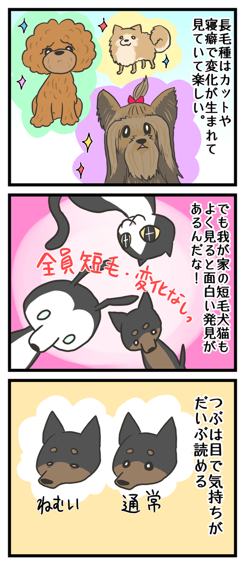 880E30C3-6762-432E-8BD8-85BAEFD3AB92