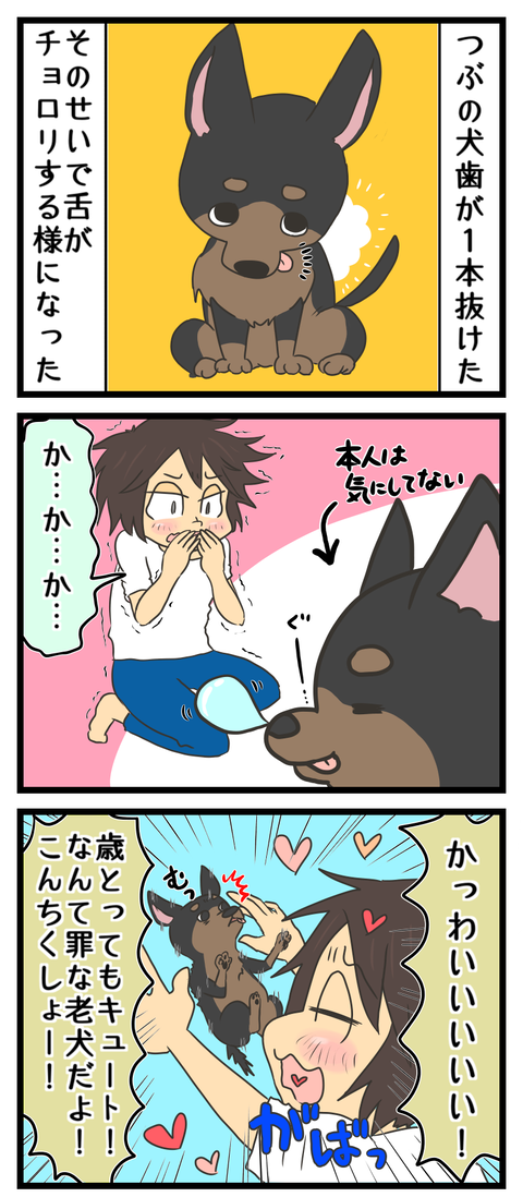 ABC9F298-64DC-4B24-B9A8-4BD30A47C23A