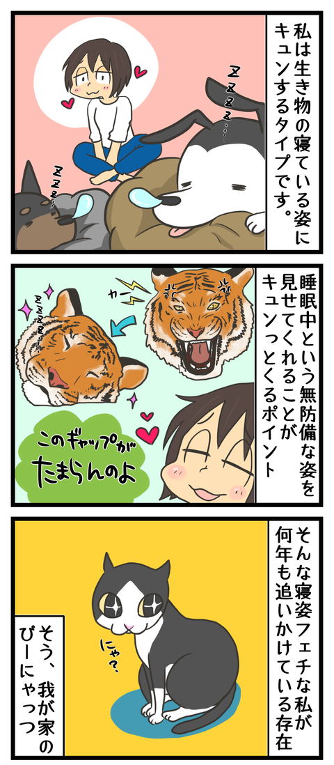 706CE0F4-1B4E-47CA-9C17-5F4EBFED09FD