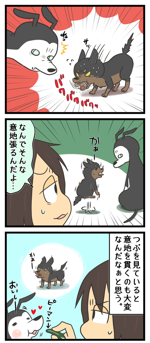 652216B0-3038-4CB9-9F95-86F39DD4F7B8