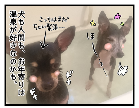 5114BABA-5FCB-4342-9650-BAFC2E03AE7E