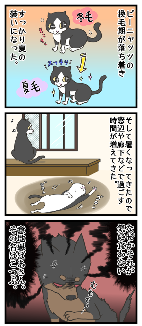 DD87D4AB-9FA1-4AAD-BBD4-0507D43E424C