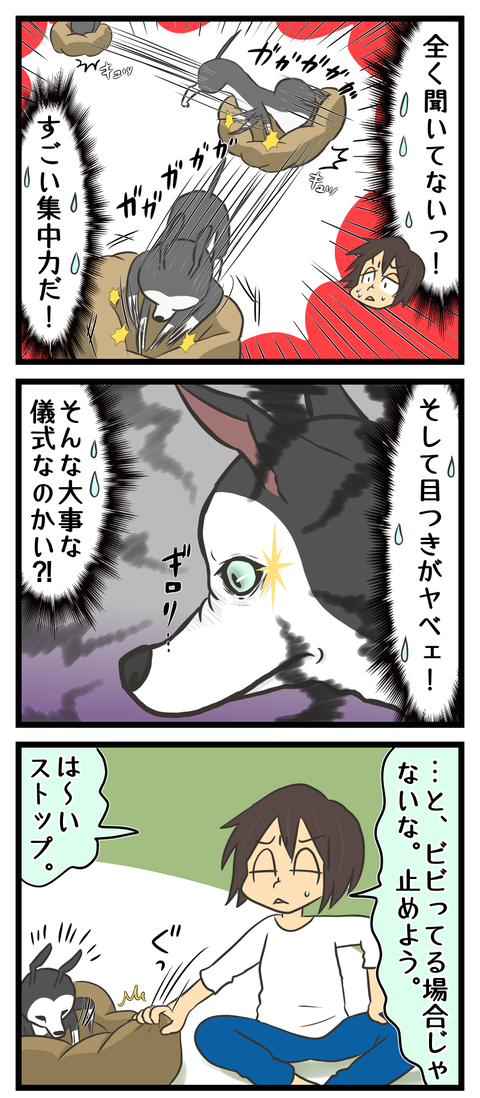 9ED8536A-4F9C-4399-8BC0-DB3DF0974AE4