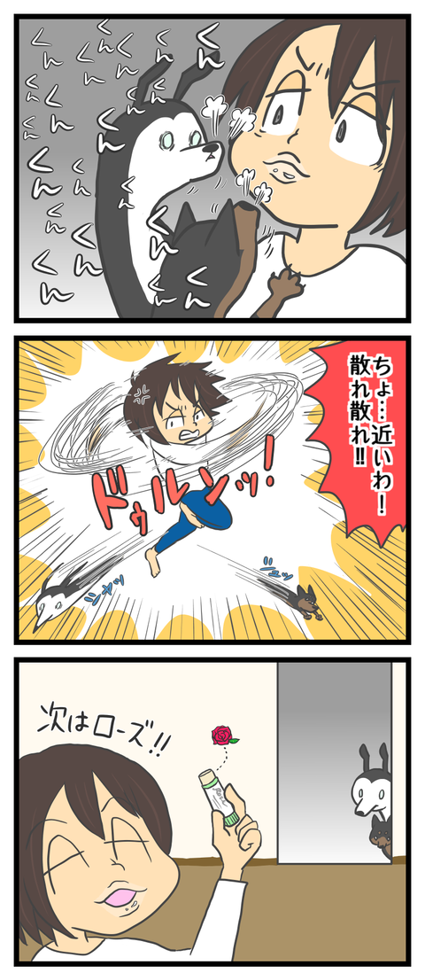 CF377729-7323-445D-BF07-B054C0819F9E