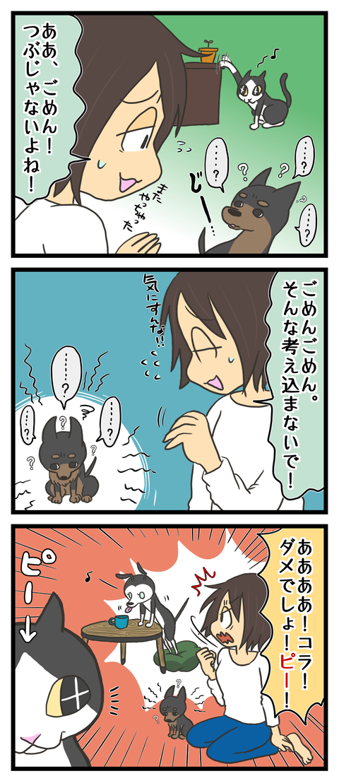 343840B3-33C9-4921-BC87-886D1D8C113C