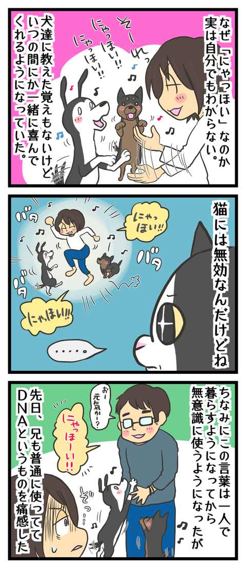 60E0458B-DF4E-4A4F-AEBA-7DB24B1744EC