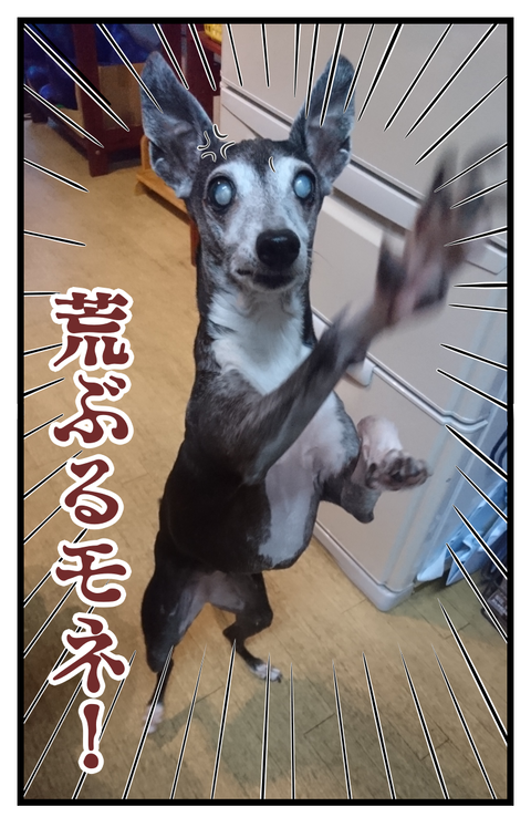 3C2FA47A-A10F-4D37-9468-6795F7A71ACB