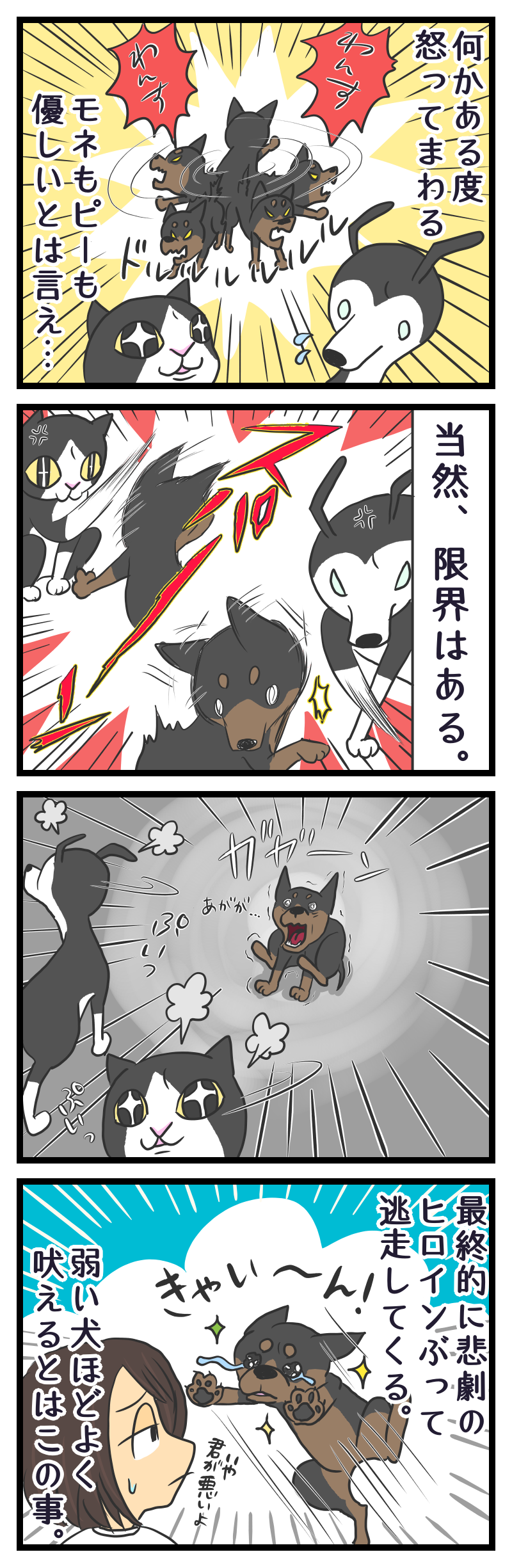 弱いくせに強気なやつ 独女の流儀 弱いくせに強気なやつ 独女の流儀