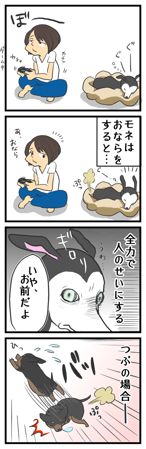 B73DA8CE-1D47-45CA-BDEA-2489FF418C0A