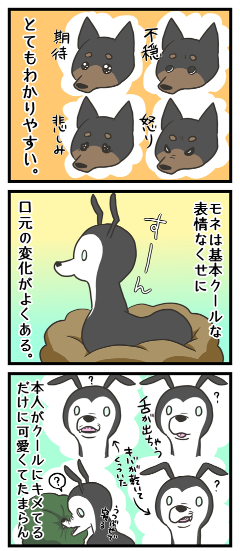 554008C6-C0CC-4C42-BD09-7036429A606B