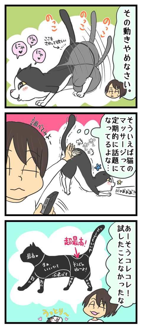 487478A8-0BF3-4D1D-A7AD-84508E2E491F