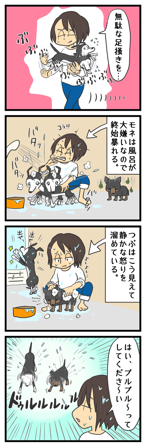 3A3EA475-2967-4743-B057-A108188BE6A2