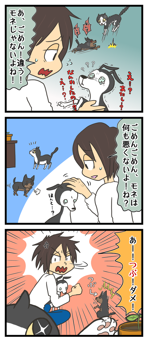 F8AAB9ED-2E63-4B41-954C-B2662A216590