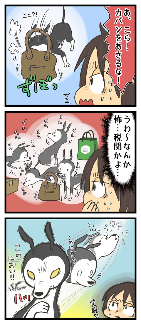 3A0E2636-2270-4D8A-9CCC-1EA457E292CE
