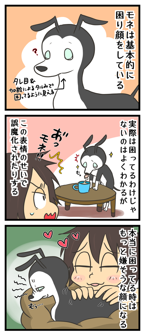 614B4D9B-E832-430B-8FF3-583959E149A5