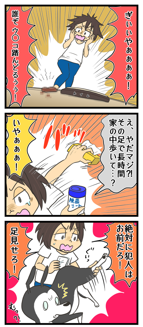 EBECC2F3-5151-467F-B18A-D7D461C41310