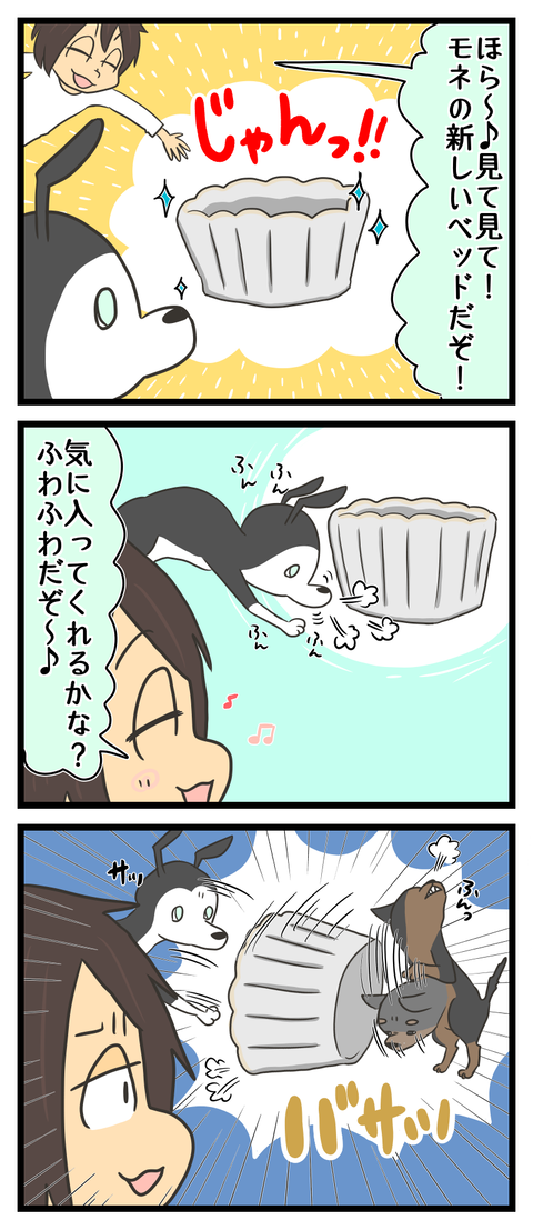 502379D9-5694-4230-AF5A-035FDA5A204C