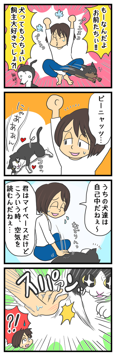 D914A9FD-2A52-4015-845E-24000E7F46B5