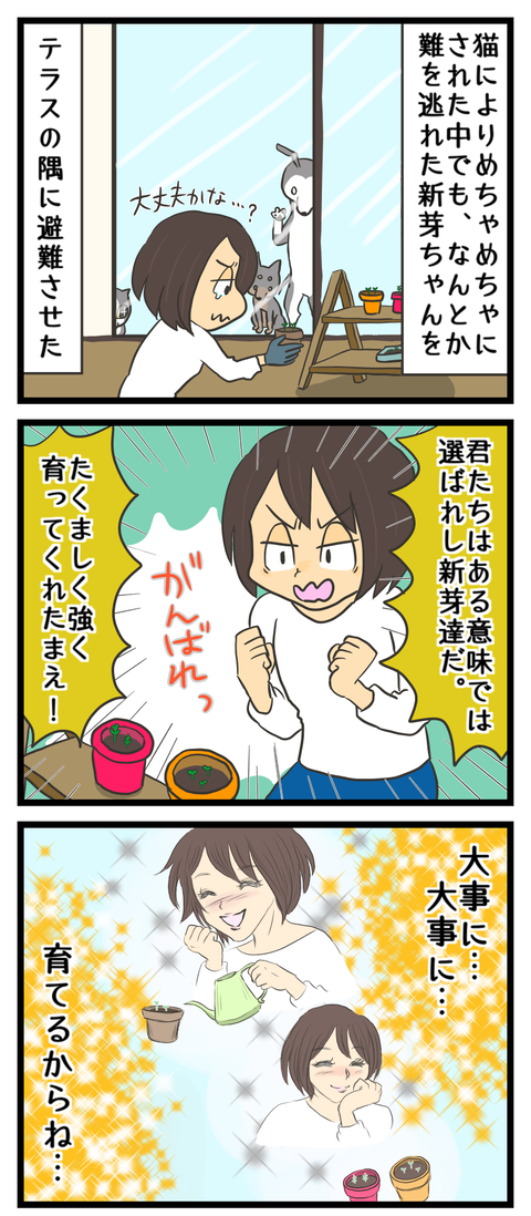 B04141F8-6788-4763-B996-34248579F4CD
