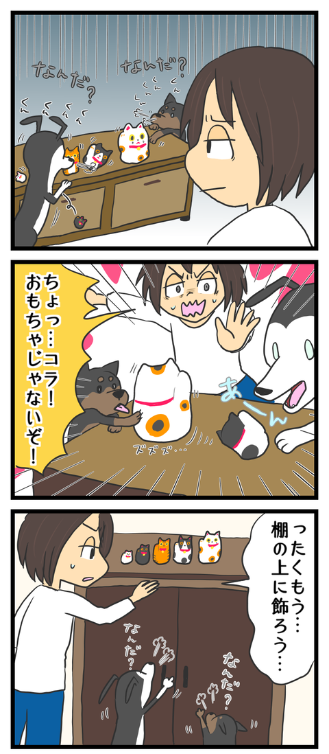 D833E8D0-1C95-47CC-A682-6806D38BBA5A