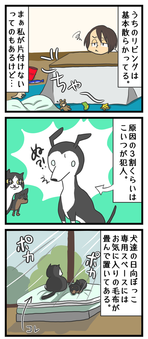 6214D0A0-BD3F-4B8C-8CF3-F560AC293BE6