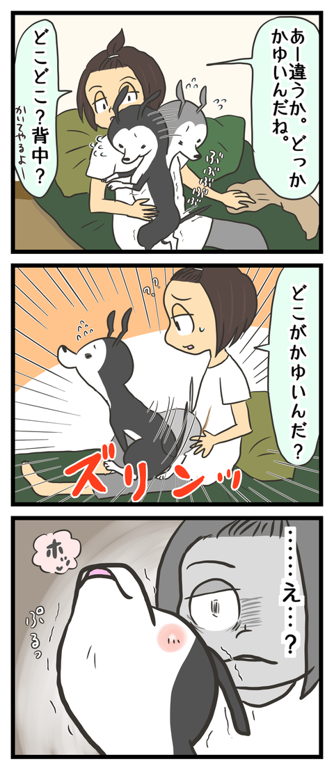B3BDF43E-CE81-47CA-BC0D-6B4791B24B0C