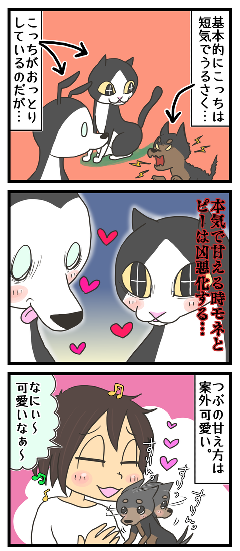648EA5EC-0897-40A0-9B2D-FCFB72F0B633