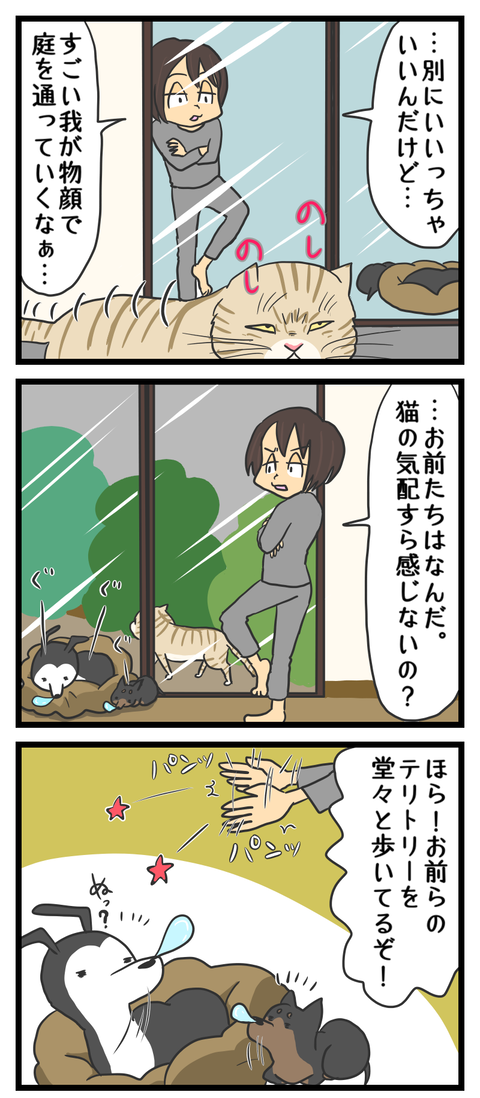 56DFFF61-2CF1-4D99-B633-BDC432A6CD0A