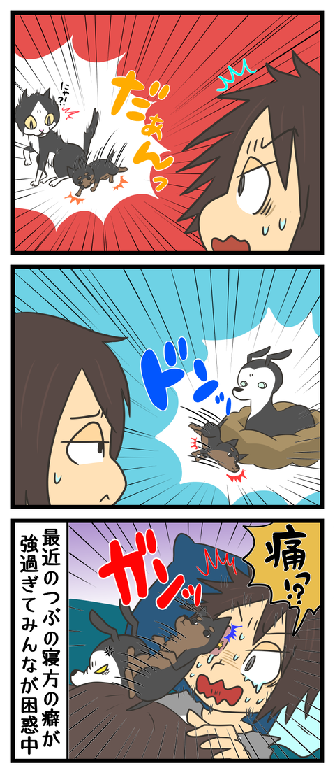 10C0F32D-BC98-4FE8-AEAD-7E2CCE78EBCB