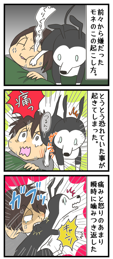 CCF029C7-E52C-4024-9172-92DEBF02E5F0