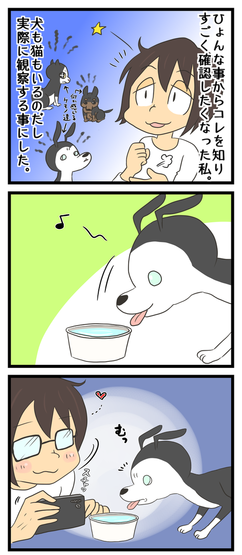 1B88EC4D-20D8-4019-973B-423AC16248F2