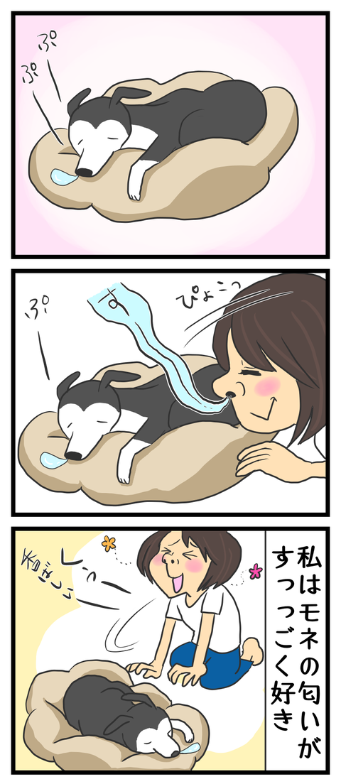 FFCEF8E8-08E8-43B5-A966-234B99E45FDD