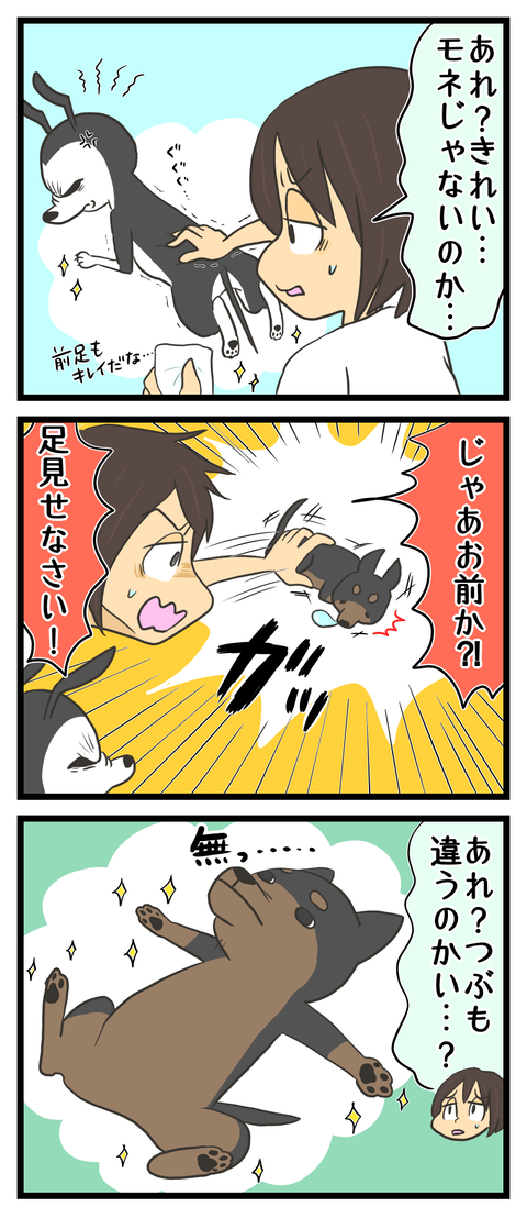 90D53EF0-8660-4997-864B-EF8DB5FA0155