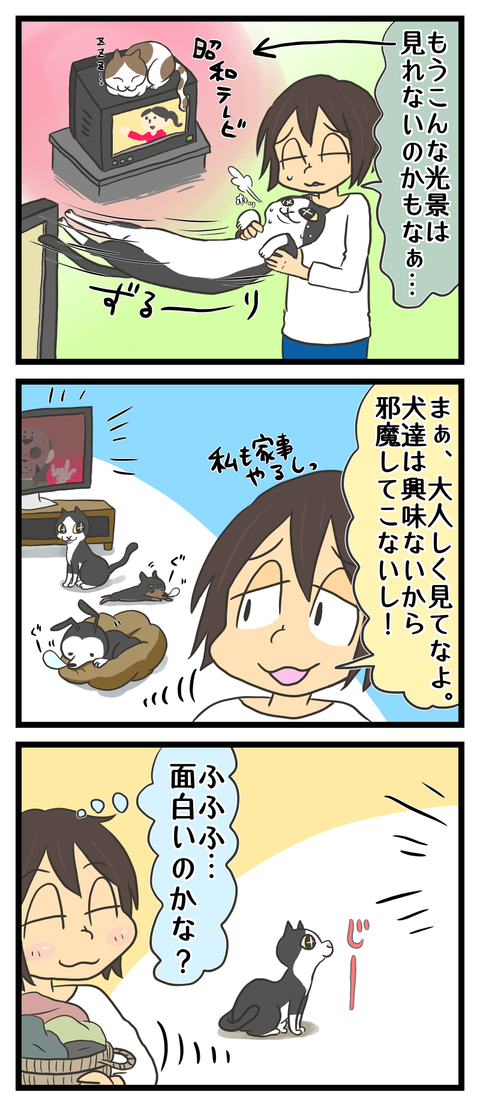 F8ECF573-142D-4C25-A6A6-8649AB4ABBD8