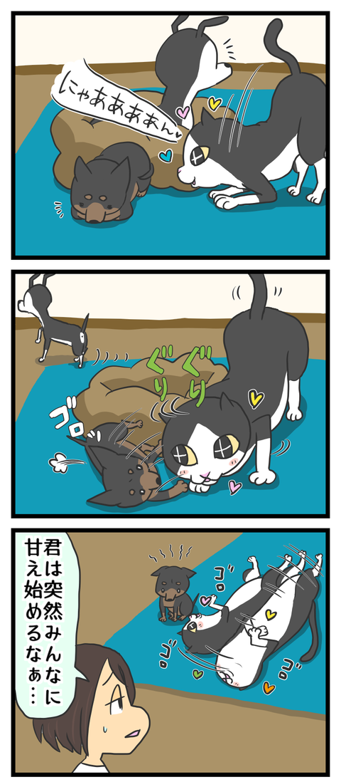 60AEBEB0-60BE-472F-8799-F3D683786DCB