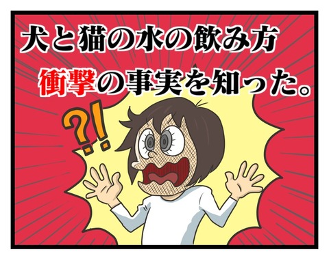 00CDE74A-E1CF-487B-BE58-88D43691A301