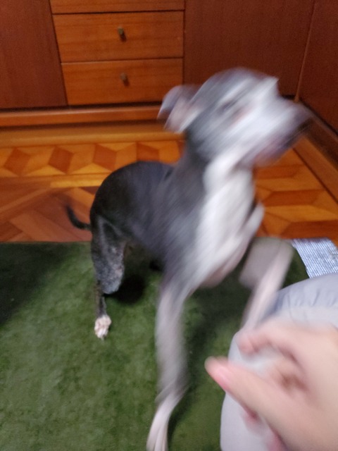 20220404_141452_070_saved