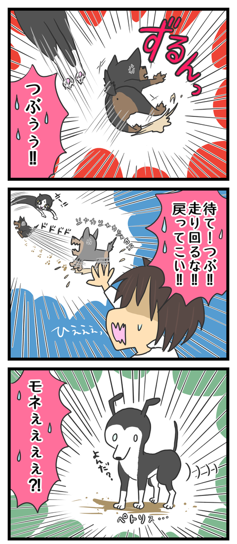 B4CEA65A-1C1D-4789-A909-6C662B4C95B8