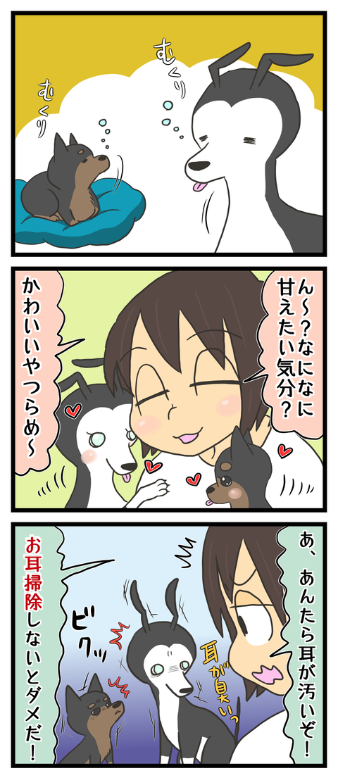 FF0F8A26-E446-435F-ADC0-DC9B80745FF0
