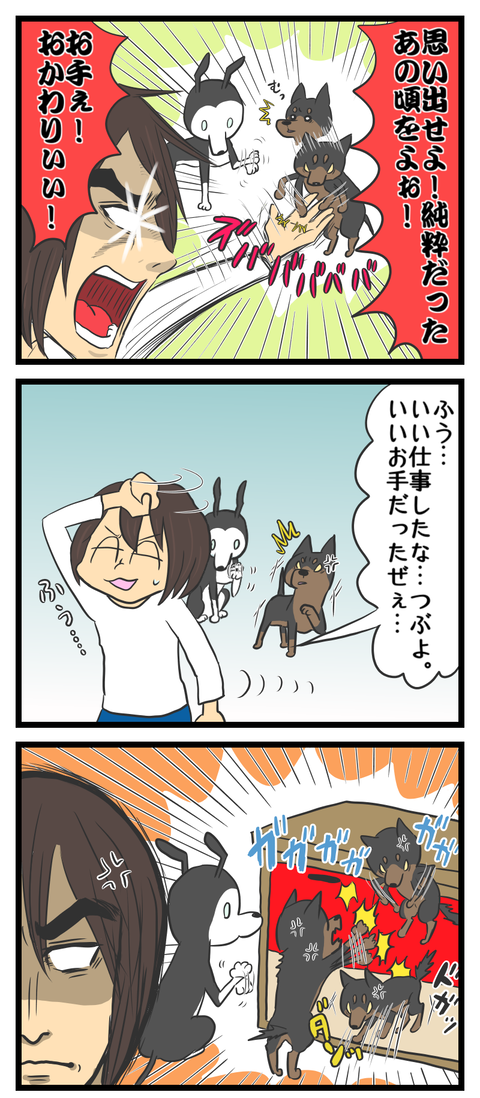 744313DB-B3A1-429E-A721-BFFDABA43C97