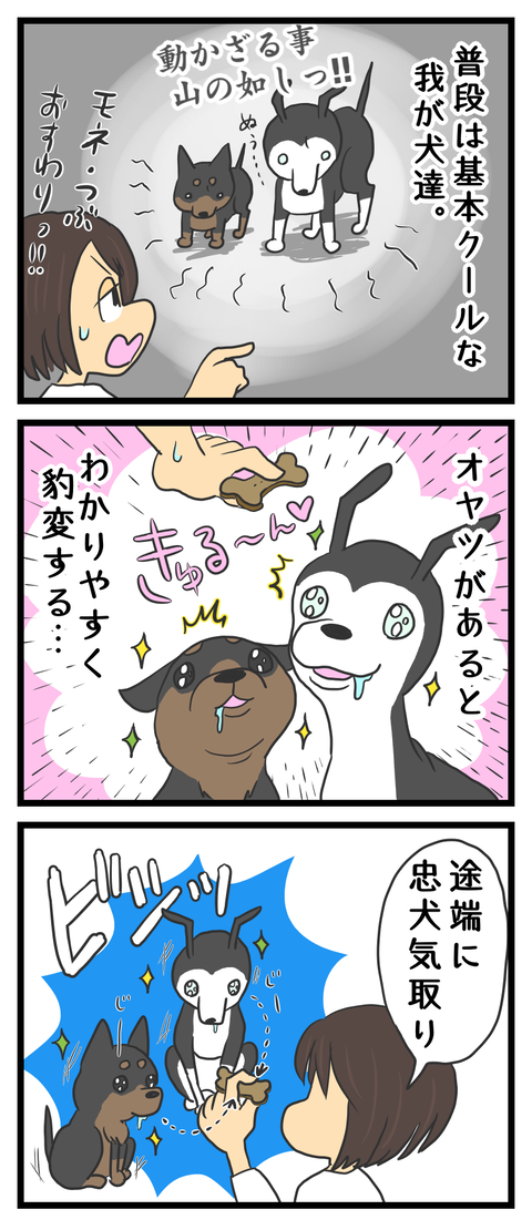 2C6B6360-F175-48E6-9AA4-FA300EBEFE10
