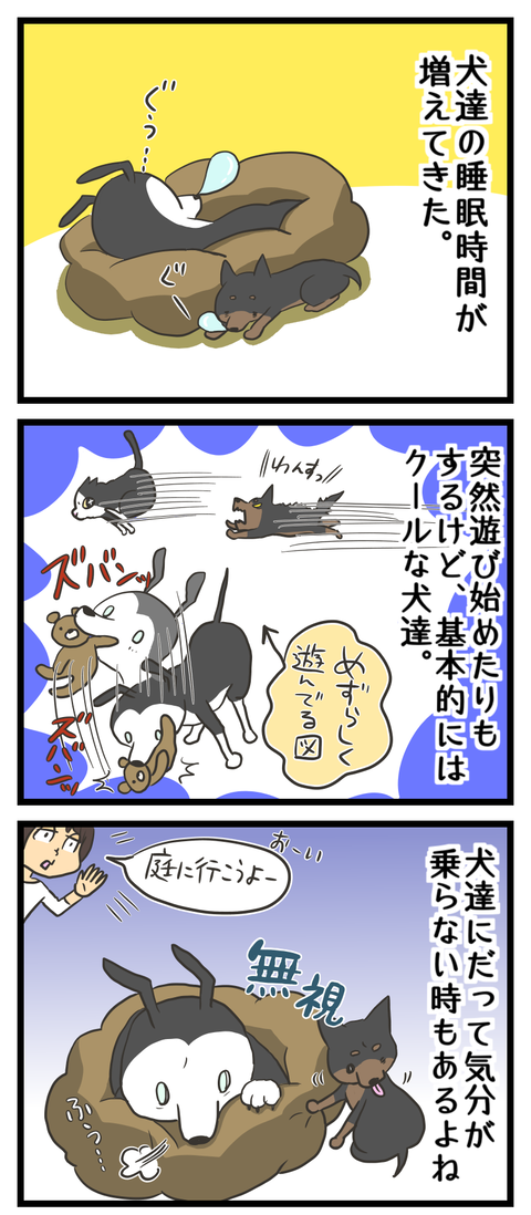 D634D08B-60C7-442A-A9E3-945F18133D2C