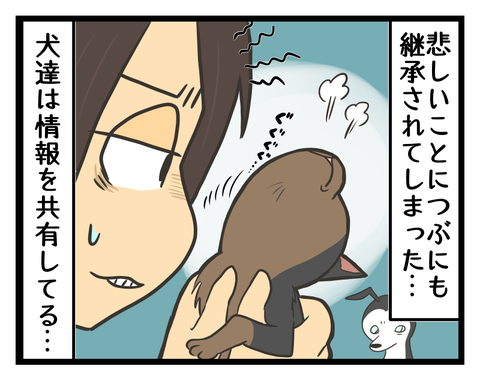 88D99440-7393-45DA-BA85-88B82BF6F05B