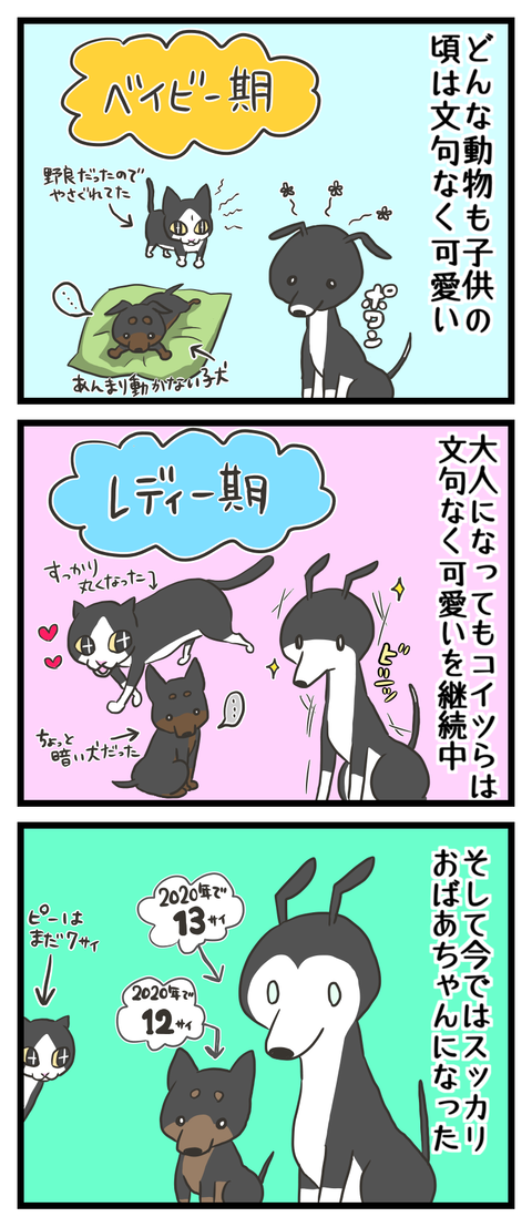 C6C5FA5B-97DD-4E73-BAD1-5F1BC3127575
